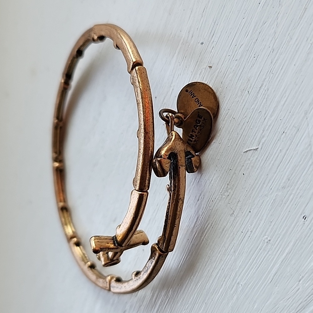 Alex and Ani Anchor Bracelet